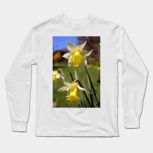 Speckled Daffodils Long Sleeve T-Shirt